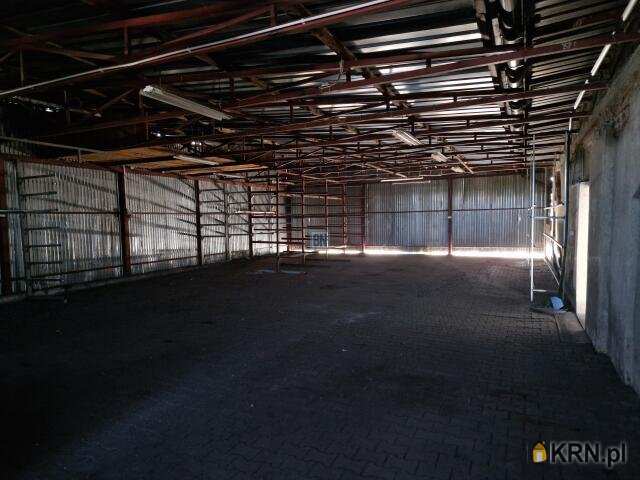 Pyskowice, ul. , 12 pokojowe, Lokal użytkowy  do wynajęcia