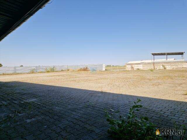 12 pokojowe, Pyskowice, ul. , Lokal użytkowy  do wynajęcia