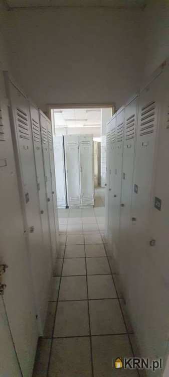 , Lokal użytkowy  do wynajęcia, Sosnowiec, ul. 