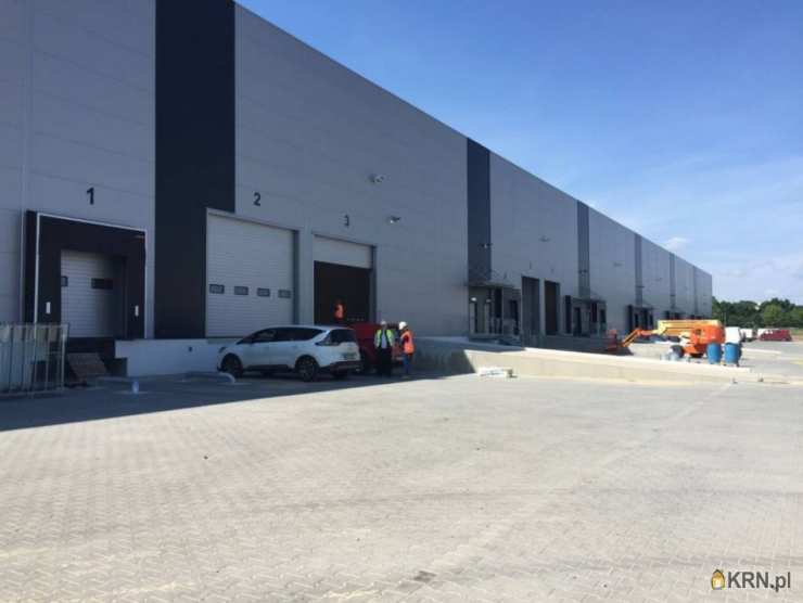 Warszawa, Targówek, ul. , , Lokal użytkowy  do wynajęcia