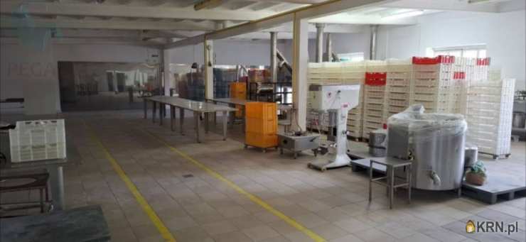 , Lokal użytkowy  na sprzedaż, Sady, ul. Ludowa