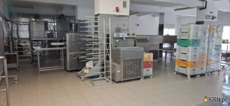 Pegaz Nieruchomości, Lokal użytkowy  na sprzedaż, Sady, ul. Ludowa