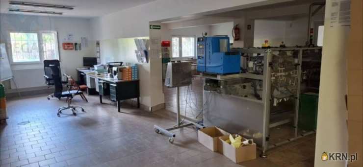 Sady, ul. Ludowa, Lokal użytkowy  na sprzedaż, 