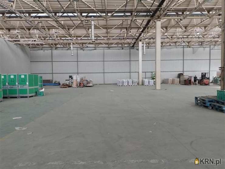 Lokal użytkowy  do wynajęcia, 1 pokojowe, Warszawa, Praga Północ, ul. Jagiellońska