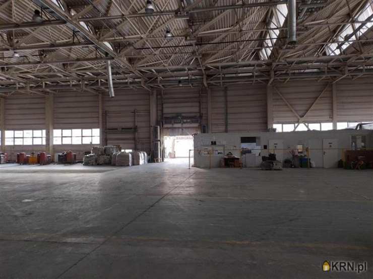 Warszawa, Praga Północ, ul. Jagiellońska, 1 pokojowe, Lokal użytkowy  do wynajęcia