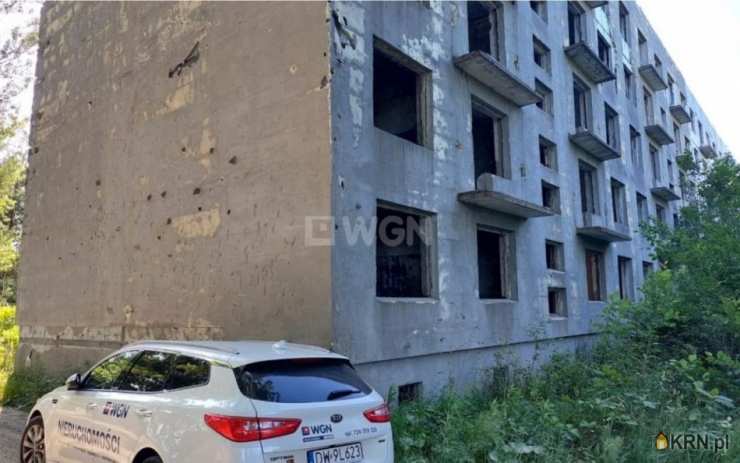 Lokal użytkowy  na sprzedaż, Chocianowiec, ul. , 126 pokojowe