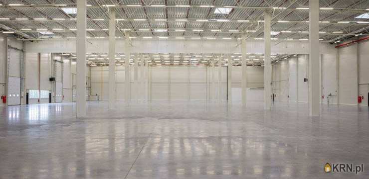 Lokal użytkowy  do wynajęcia, , Sochaczew, ul. 