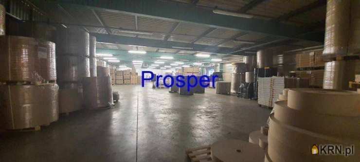 Sosnowiec, ul. , , Lokal użytkowy  do wynajęcia