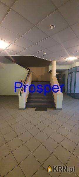 Lokal użytkowy  do wynajęcia, Sosnowiec, ul. , 