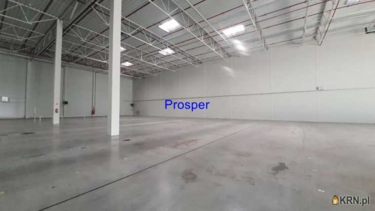 Lokal użytkowy  do wynajęcia, Tychy, ul. , 