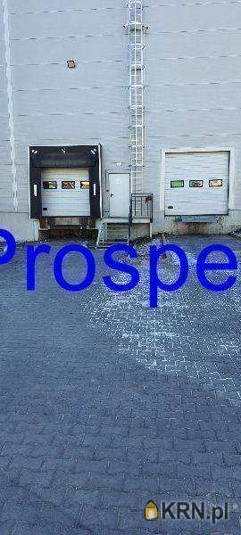 Lokal użytkowy  do wynajęcia, , Tychy, ul. 