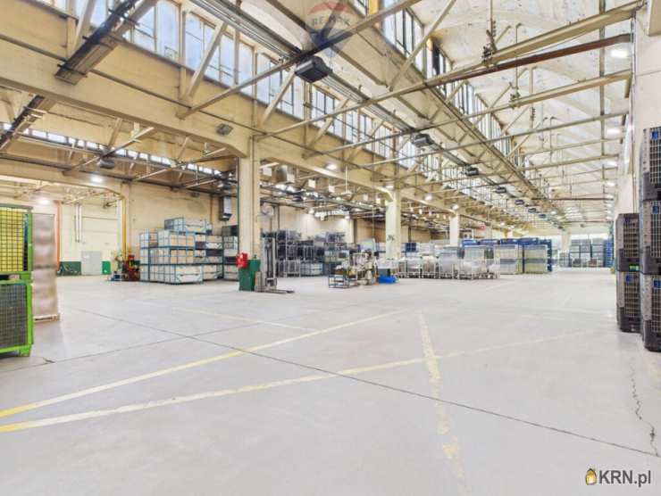 Lokal użytkowy  do wynajęcia, , Lublin, ul. 