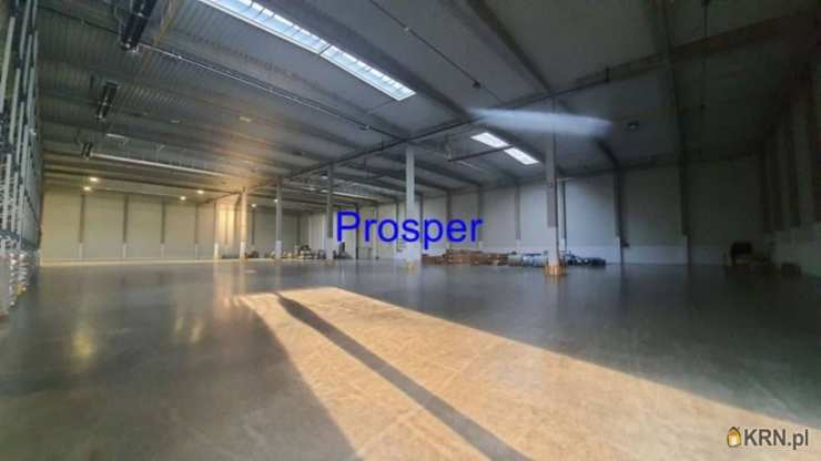 Lokal użytkowy  do wynajęcia, Tychy, ul. , 