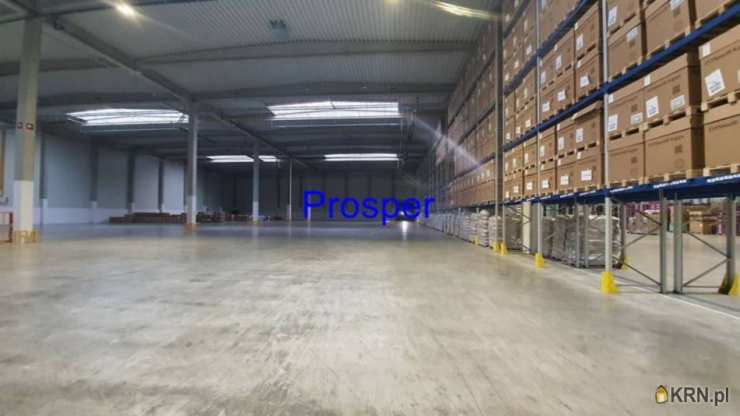 Lokal użytkowy  do wynajęcia, , Tychy, ul. 