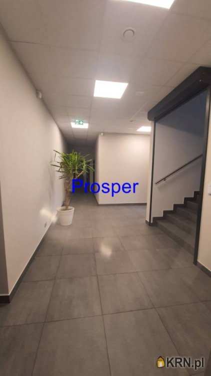 Tychy, ul. , Lokal użytkowy  do wynajęcia, 