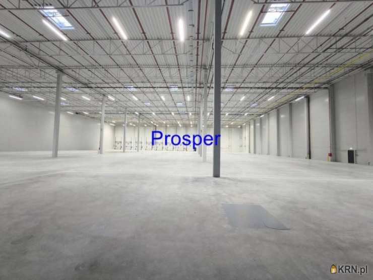 Lokal użytkowy  do wynajęcia, Gliwice, ul. , 