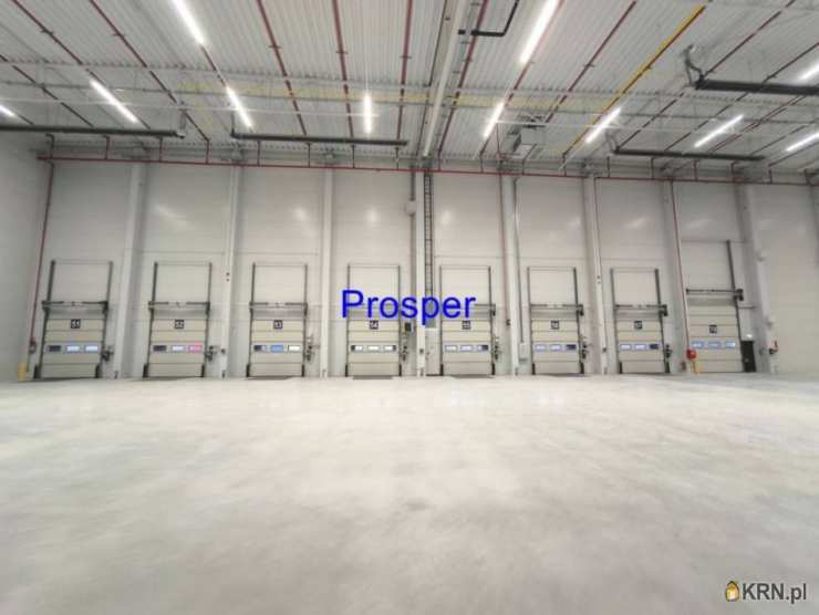 Lokal użytkowy  do wynajęcia, , Gliwice, ul. 