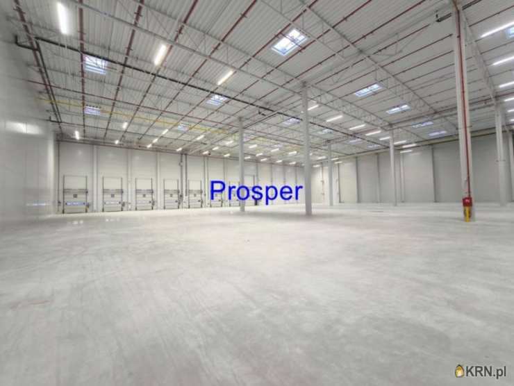 Gliwice, ul. , Lokal użytkowy  do wynajęcia, 