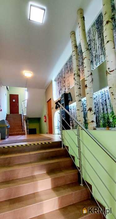 Jelenia Góra, Cieplice Śląskie-Zdrój, ul. Dworcowa, 10 pokojowe, Lokal użytkowy  na sprzedaż