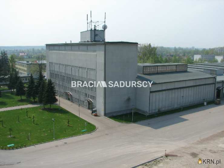 Bracia Sadurscy Oddział BS3 Przewóz, Lokal użytkowy  do wynajęcia, Szczucin, ul. Piłsudskiego