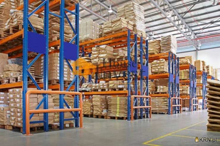 Wrocław, ul. , Lokal użytkowy  do wynajęcia, 8 pokojowe