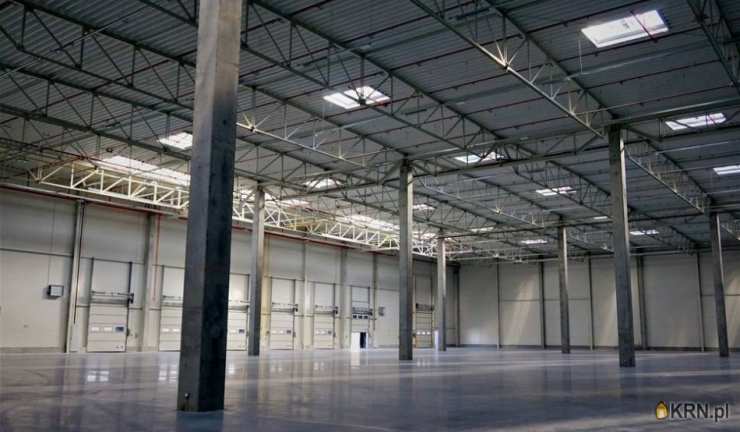 Lokal użytkowy  do wynajęcia, Zgorzelec, ul. , 