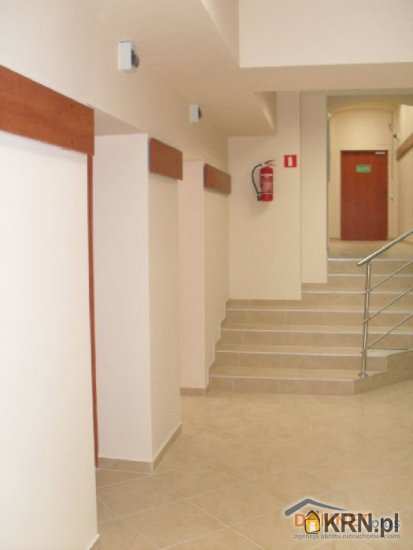 Lokal użytkowy  do wynajęcia, , Katowice, ul. 