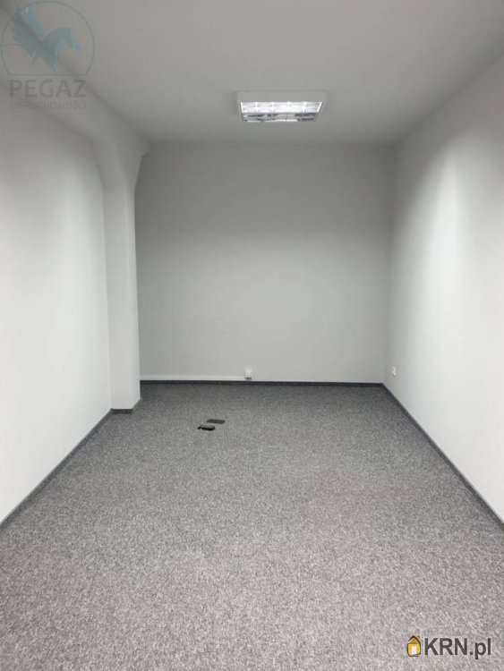 Poznań, Grunwald, ul. Kopanina, Lokal użytkowy  do wynajęcia, 