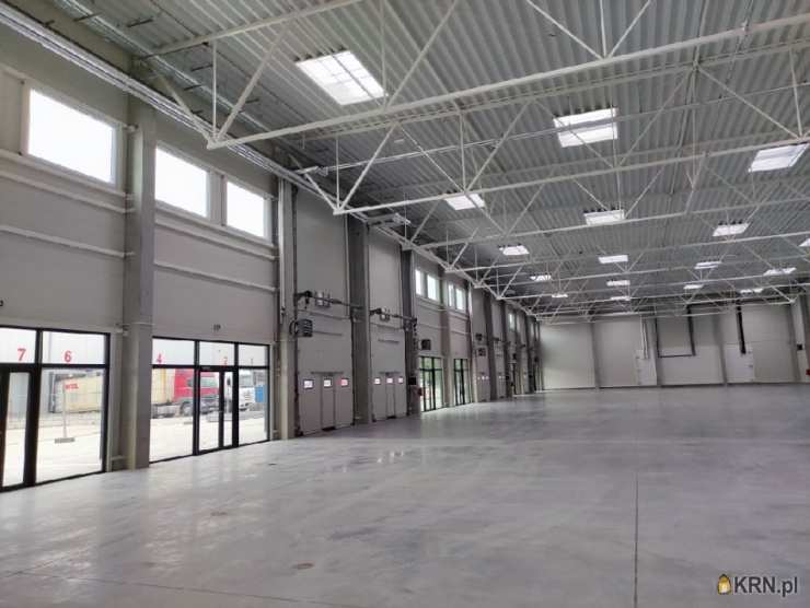 Lokal użytkowy  do wynajęcia, Bydgoszcz, ul. , 1 pokojowe