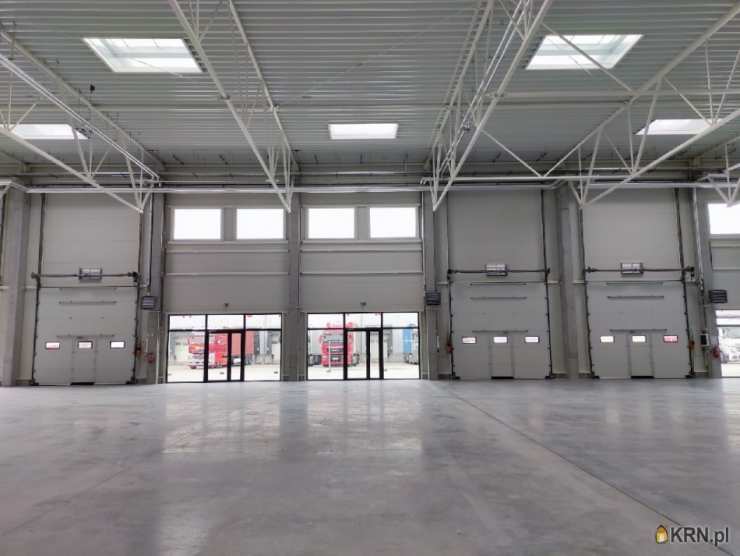 Bydgoszcz, ul. , Lokal użytkowy  do wynajęcia, 1 pokojowe