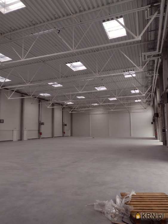 1 pokojowe, Lokal użytkowy  do wynajęcia, Bydgoszcz, ul. 