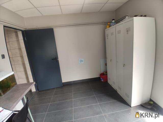 BN Nieruchomości, Lokal użytkowy  do wynajęcia, Bytom, ul. 