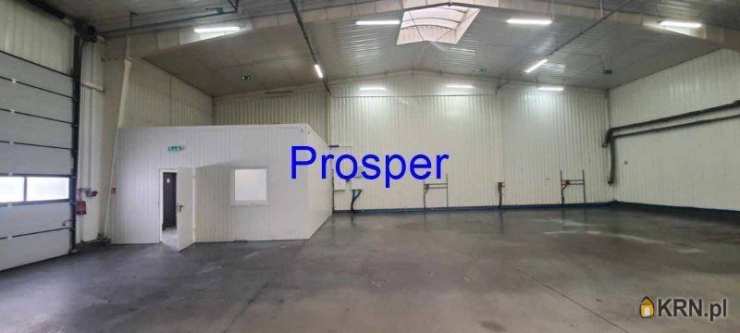 Lokal użytkowy  do wynajęcia, Czeladź, ul. , 