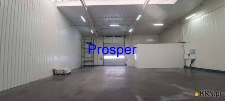 Lokal użytkowy  do wynajęcia, , Czeladź, ul. 