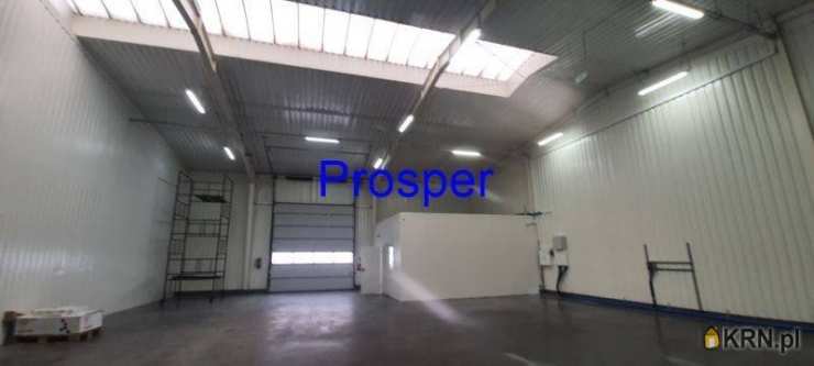 Czeladź, ul. , Lokal użytkowy  do wynajęcia, 