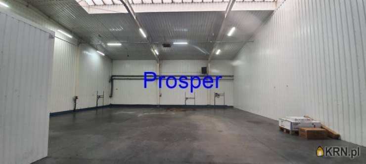 Czeladź, ul. , , Lokal użytkowy  do wynajęcia