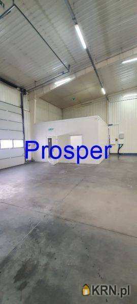 Prosper - Nieruchomości, Lokal użytkowy  do wynajęcia, Czeladź, ul. 