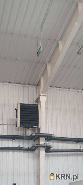 Lokal użytkowy  do wynajęcia, Czeladź, ul. , 