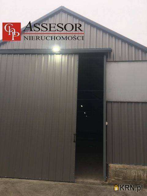 Lokal użytkowy  do wynajęcia, Kalisz, ul. , 