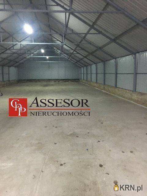 Lokal użytkowy  do wynajęcia, , Kalisz, ul. 