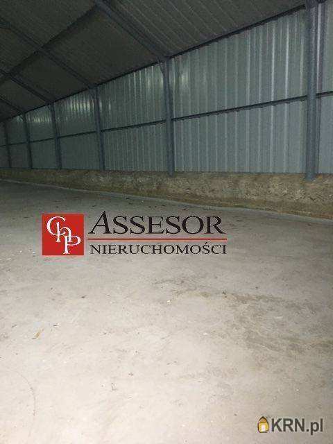 Kalisz, ul. , , Lokal użytkowy  do wynajęcia