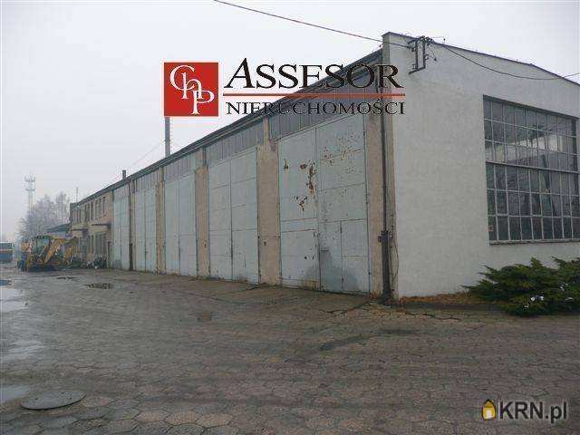 Lokal użytkowy  do wynajęcia, Kalisz, Winiary, ul. , 