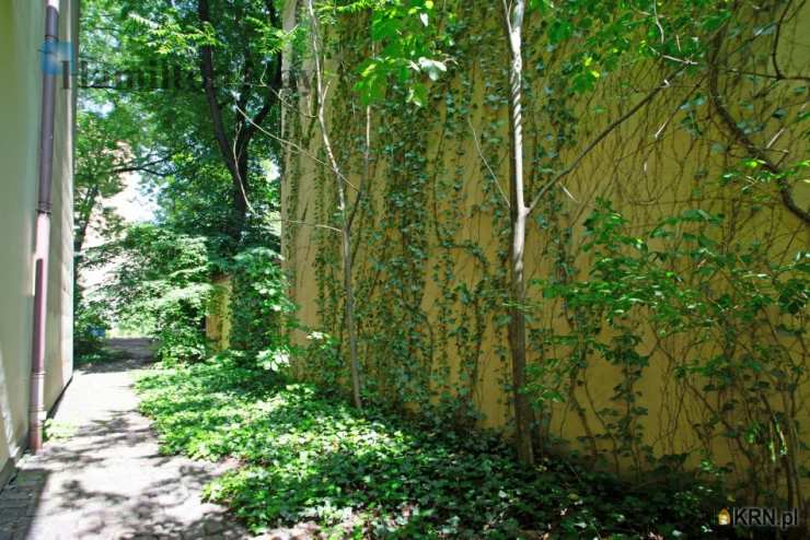 Hamilton May, Lokal użytkowy  do wynajęcia, Kraków, Stare Miasto, ul. Karmelicka