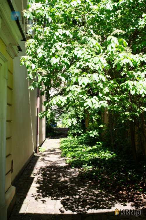 , Lokal użytkowy  do wynajęcia, Kraków, Stare Miasto, ul. Karmelicka