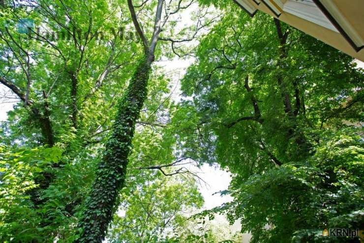 Lokal użytkowy  do wynajęcia, , Kraków, Stare Miasto, ul. Karmelicka