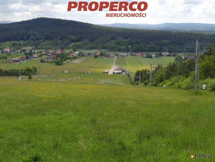 Lokal użytkowy  do wynajęcia, Niestachów, ul. , 