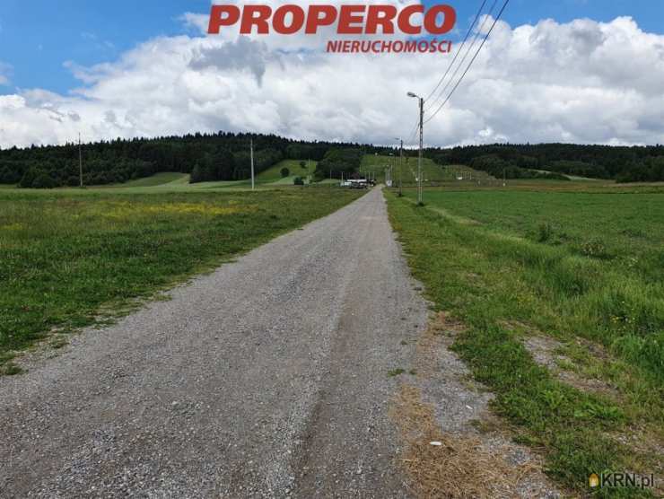 Niestachów, ul. , Lokal użytkowy  do wynajęcia, 