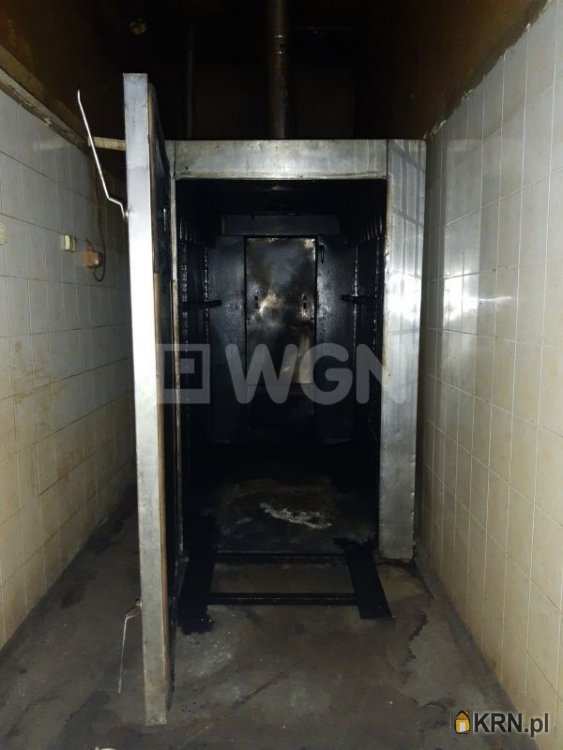 10 pokojowe, Polkowice, ul. , Lokal użytkowy  do wynajęcia