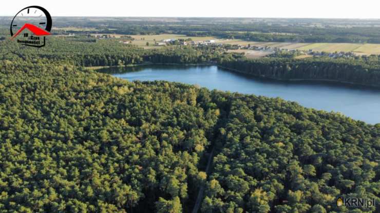Czas Nieruchomości, Lokal użytkowy  na sprzedaż, Skrzynki, ul. 