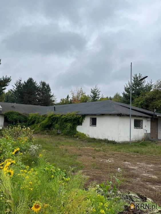 , Sulejówek, Szkopówka, ul. , Lokal użytkowy  do wynajęcia